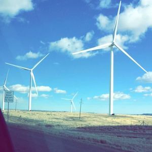 Meet your Posher, Noah